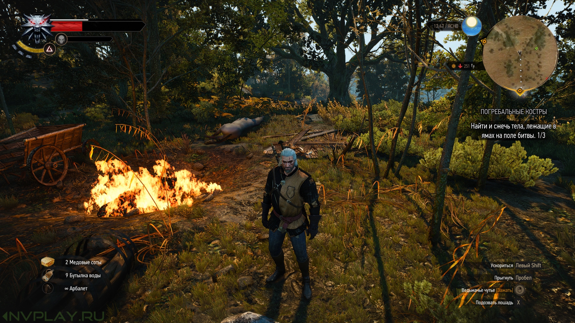 The witcher 3 amd or nvidia фото 61