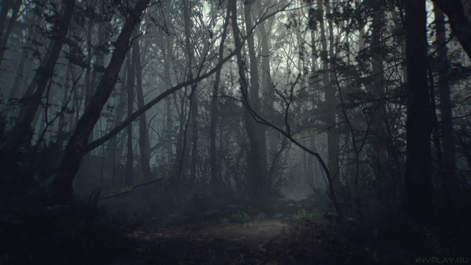 Ведьма из Блэр 2016 монстр в лесу
